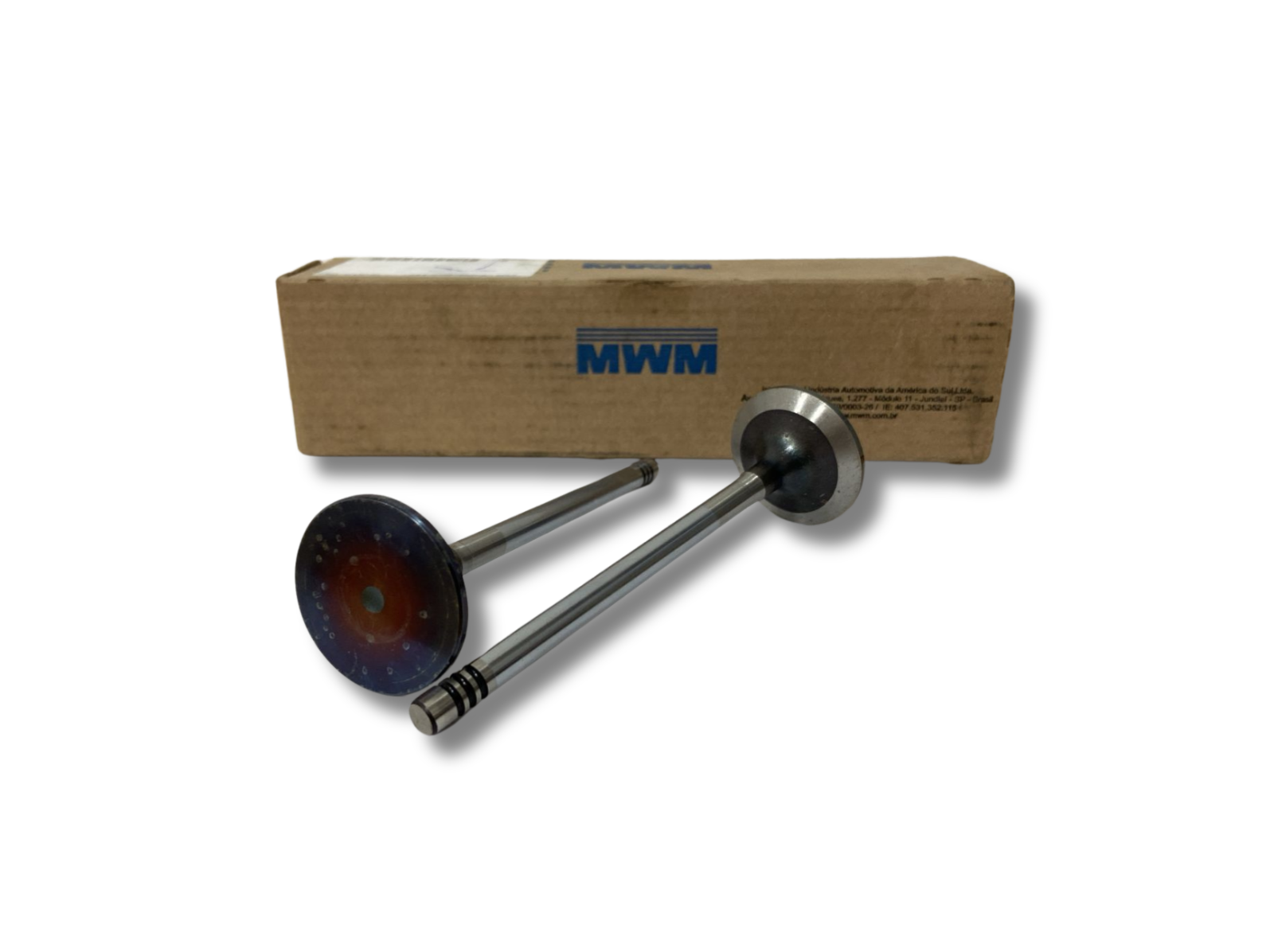 KIT 2 VALVULAS ADMISSAO MWM - 7006680C1E